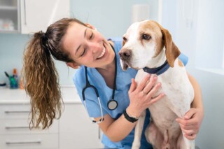 Can a Veterinarian Practice Using a Foreign Corporation in California?