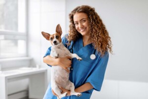 When Not to Use a California Professional Veterinary Corporation