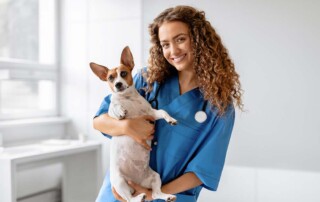 When Not to Use a California Professional Veterinary Corporation