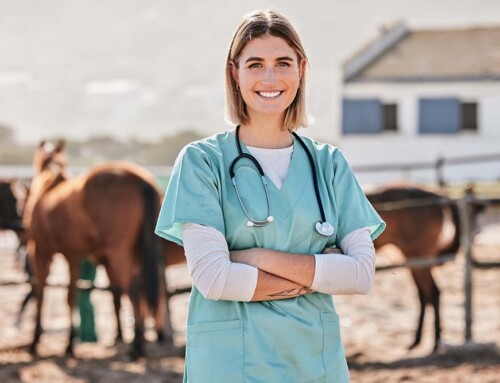 When to Use a California Professional Veterinary Corporation