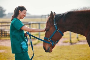 How Long Does It Take to Form a California Professional Veterinary Corporation?