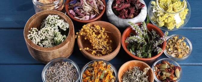 Adequate Capitalization of California Professional Naturopathic Doctor Corporations