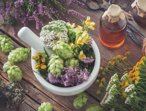 California LOEN Penalties for California Professional Naturopathic Doctor Corporations