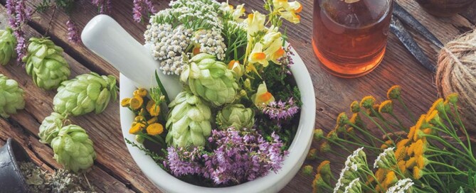 California LOEN Penalties for California Professional Naturopathic Doctor Corporations