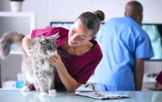 California LOEN Penalties for California Professional Veterinary Corporations