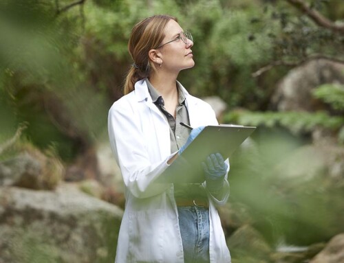 Why is a Naturopathy Practice Not Permitted to Use a California LLC?