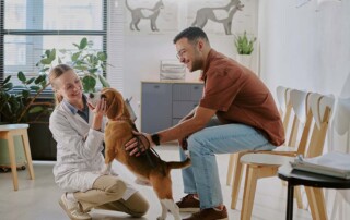 Why is a Veterinary Practice Not Permitted to Use a California LLC?