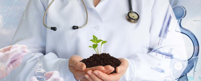Why is a Naturopathic Medical Practice Not Permitted to Use a Foreign Professional Corporation in California?
