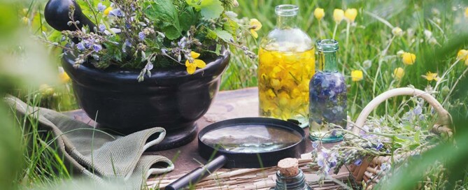 Can a California Professional Naturopathic Doctor S-Corp Be Formed After March 15th?