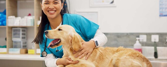 Steps to Take if Not Practicing in a California Professional Veterinary Corporation