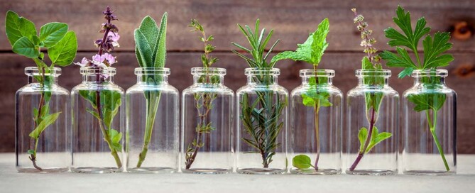 What is a California Professional Naturopathic Doctor Corporation?