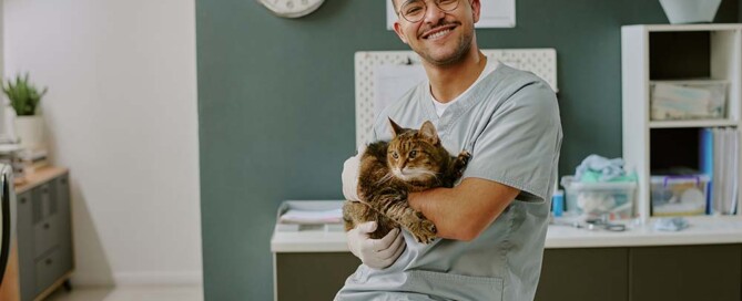 What is a California Professional Veterinary Corporation?