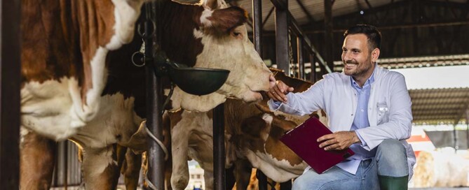 The 8 Requirements for California Professional Veterinary Corporation Articles of Incorporation