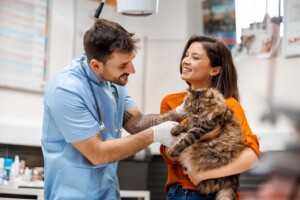 The Advantages and Disadvantages of California Professional Veterinary Corporations