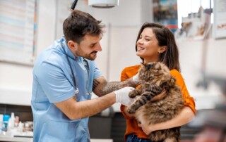 The Advantages and Disadvantages of California Professional Veterinary Corporations