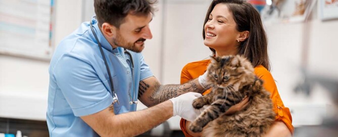 The Advantages and Disadvantages of California Professional Veterinary Corporations