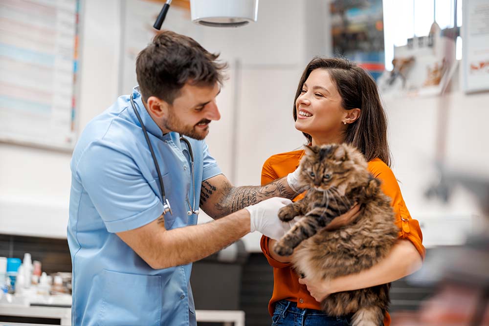 The Advantages and Disadvantages of California Professional Veterinary Corporations