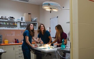 Advantages of California Professional Veterinary Corporations for Licensed Veterinarians