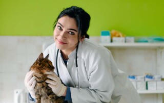 Transitioning From a General Stock Corporation to a California Professional Veterinary Corporation