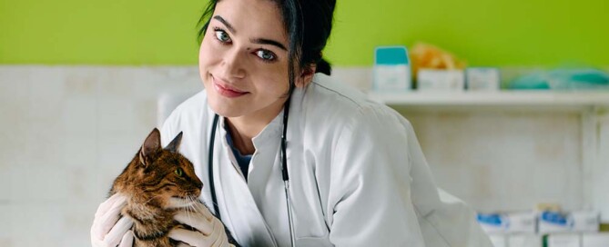 Transitioning From a General Stock Corporation to a California Professional Veterinary Corporation