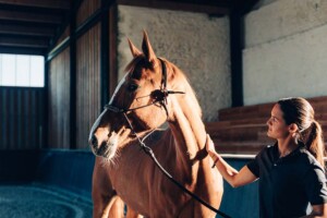 Starting a Private Veterinary Practice in California