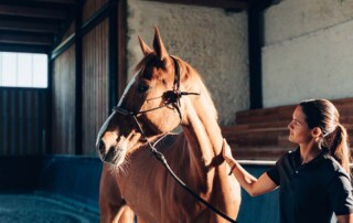 Starting a Private Veterinary Practice in California