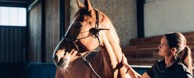 Starting a Private Veterinary Practice in California