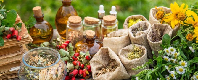 Steps to Establish a California Professional Naturopathic Doctor Corporation: Step-by-Step Guide